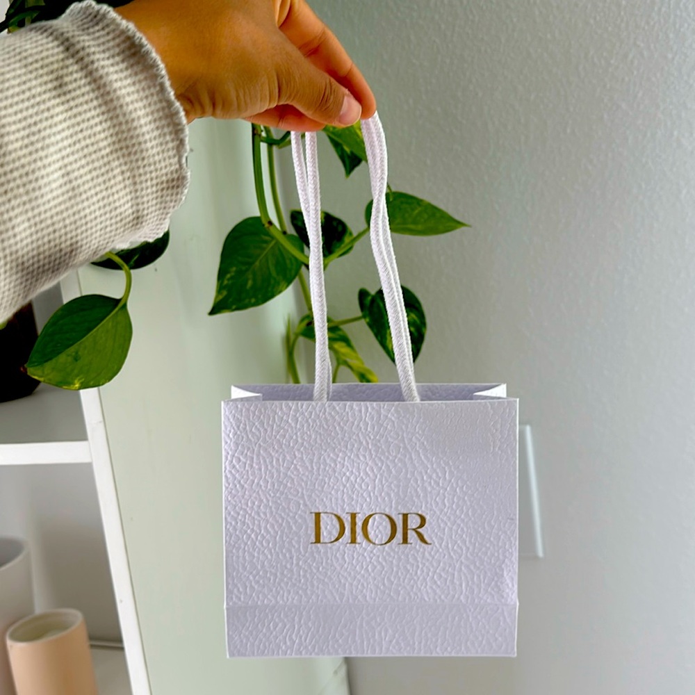 Small DIOR gift bag